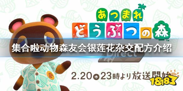 集合啦动物森友会银莲花怎么杂交银莲花杂交配方介绍