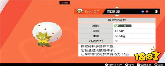 宝可梦剑盾白蓬蓬还能进化吗