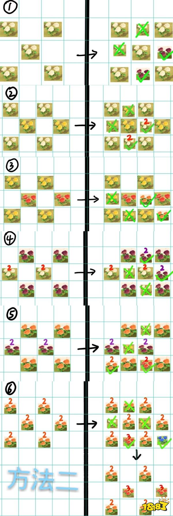 动森蓝玫瑰种植方法攻略3