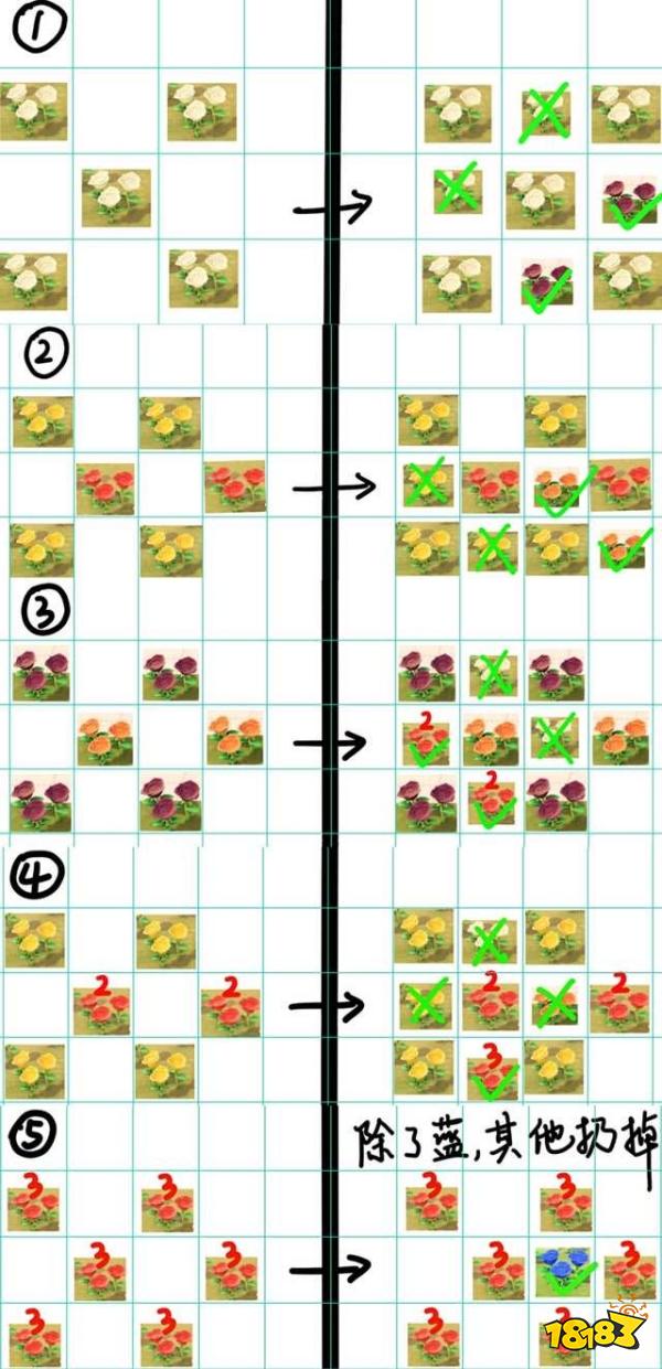 动森蓝玫瑰种植方法攻略2