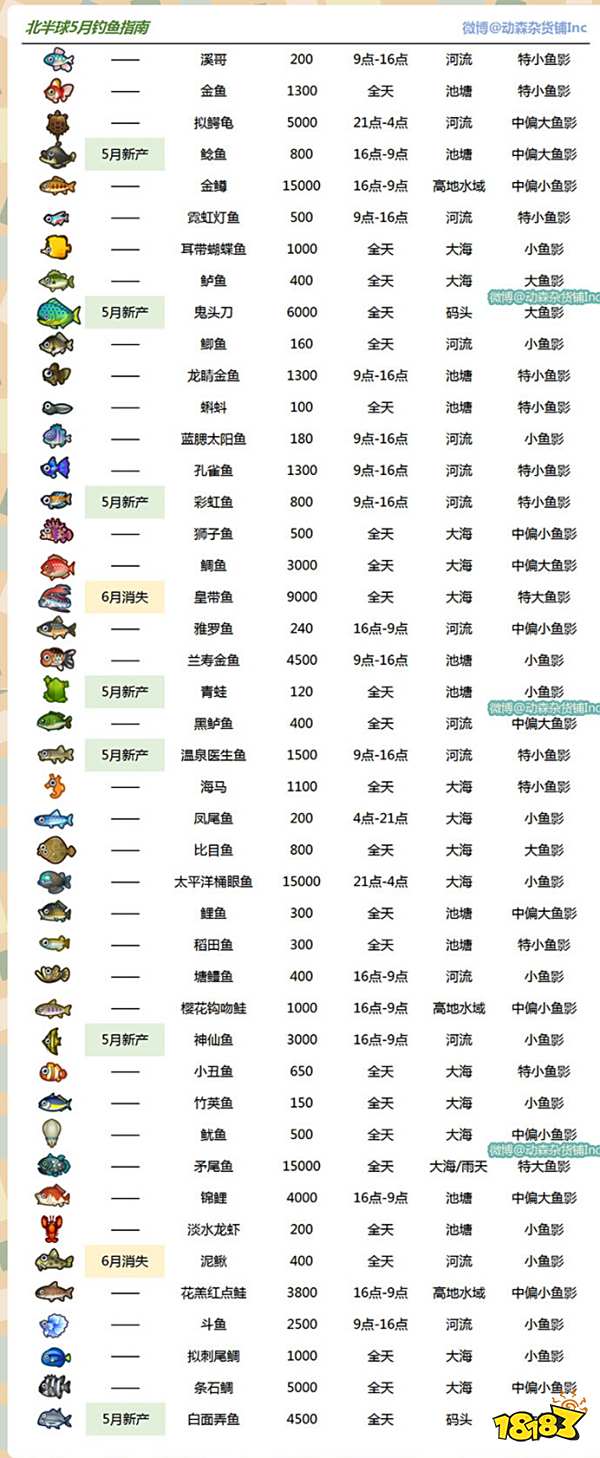 动物森友会5月北半球鱼类大全 181 Com