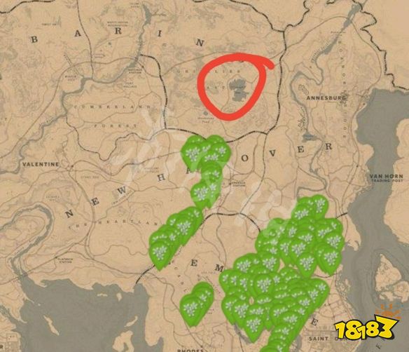 荒野大镖客25月9日每日任务介绍5月9日纳扎尔夫人在哪