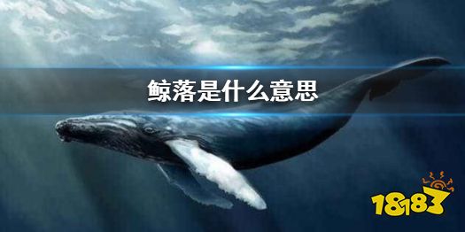 鲸落是什么意思鲸落是留给大海最后的温柔