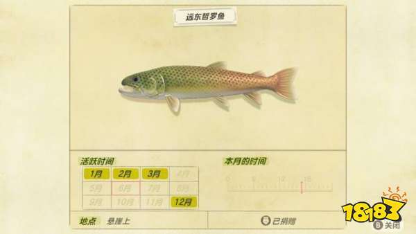 动物森友会6月份南半球生物资料与收集攻略