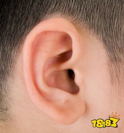 有些的人耳朵可以动来动去其实这是一种 支付宝蚂蚁庄园6月8日每日一