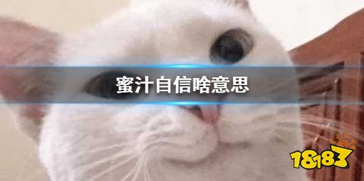 蜜汁自信啥意思蜜汁自信表情包