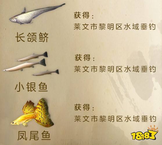 明日之后莱文市黎明区新增鱼类汇总