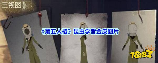 第五人格 昆虫学者金皮图片 181 Com 第五人格 昆虫学者金皮图片 181 Com