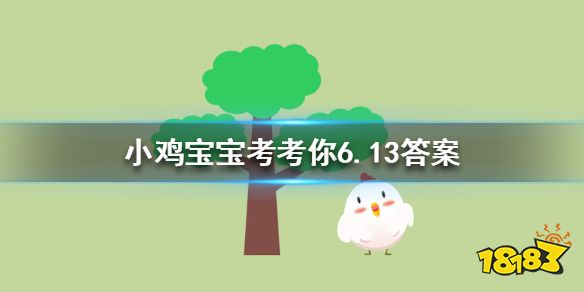 小鸡宝宝考考你6月13日答案