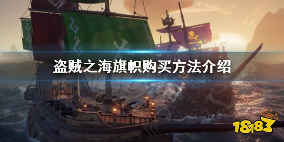 一种是装饰类旗帜,另一种是特使旗帜