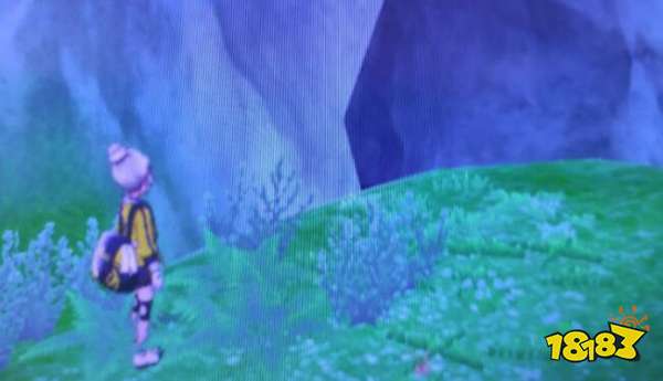 宝可梦剑盾揖礼原野地鼠位置介绍