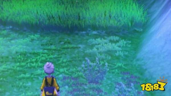 宝可梦剑盾揖礼原野地鼠位置介绍