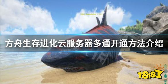 方舟生存进化 怎么开服务器云服务器多通开通方法介绍 181方舟 生存进化专区
