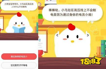小鸟站在高压线上为什么不会触电