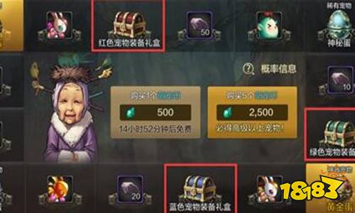 dnf手游怎么获得宠物装备