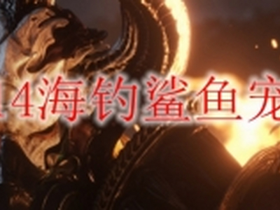 ff14海钓鲨鱼宠物怎么获得