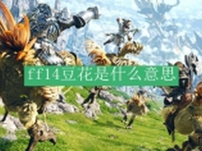 ff14豆花是什么意思