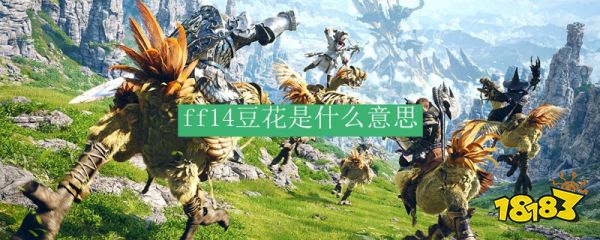 ff14豆花是什么意思