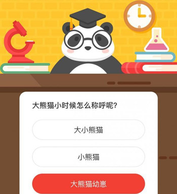 大熊猫小时候怎么称呼呢？森林驿站9月8日每日一题答案持续更新ing