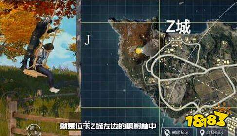 和平精英海岛地图秋千位置在哪里