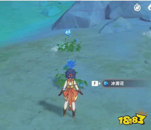 原神冰雾花花朵怎么采集