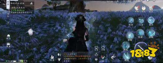 天涯明月刀莲花分类及需要道具一览