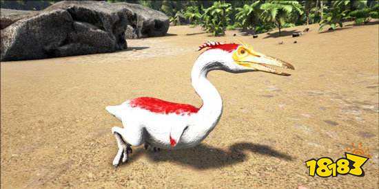 方舟生存进化黄昏鸟金蛋怎么得黄昏鸟金蛋获取方法 181方舟生存进化专区