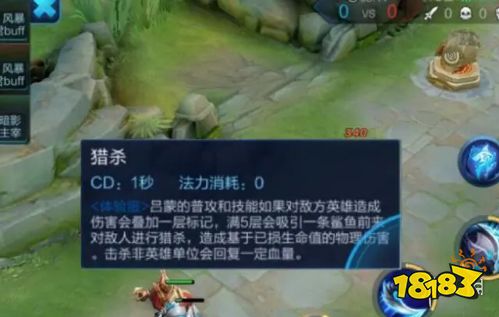 王者荣耀新英雄澜技能玩法 王者荣耀新英雄澜有什么技能