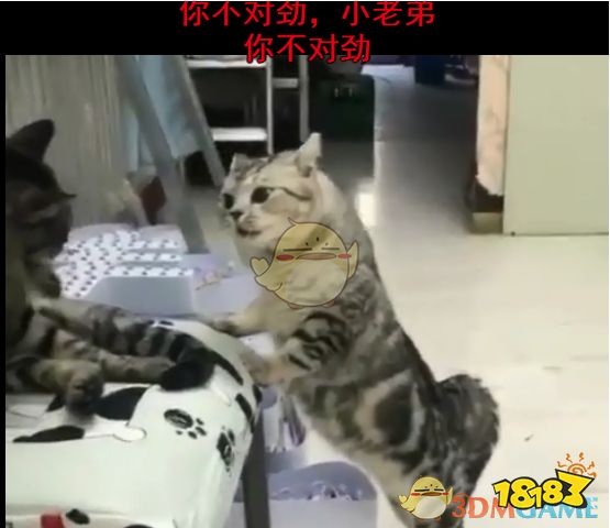 以上就是小编整理的关于你不对劲梗意思介绍的全