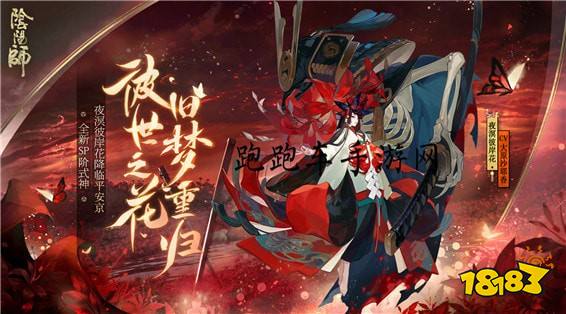 阴阳师sp彼岸花图透sp彼岸花立绘图片一览 181手游门户 阴阳师sp彼岸花图透sp彼岸花立绘图片一览 181手游门户