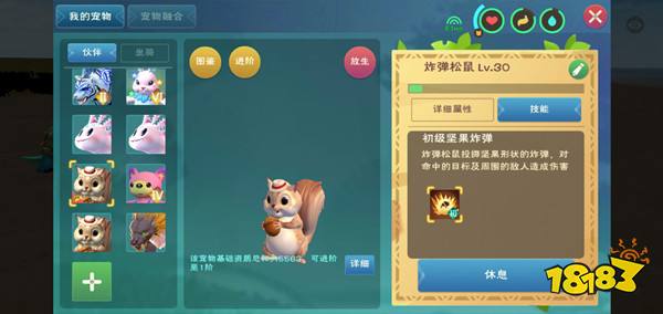 创造与魔法松鼠宠物技能介绍