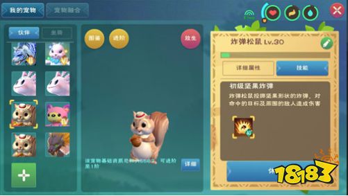 创造与魔法炸弹松鼠技能介绍