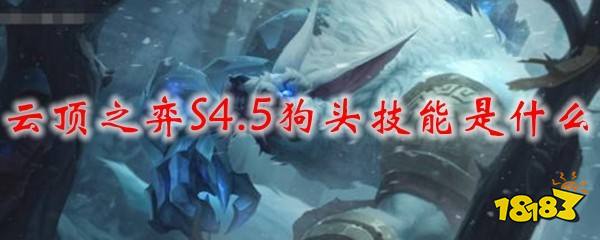 云顶之弈s45狗头技能是什么