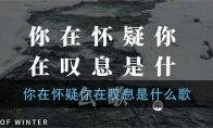 你在怀疑你在叹息是什么歌