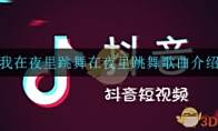 我在夜里跳舞在夜里跳舞是什么歌