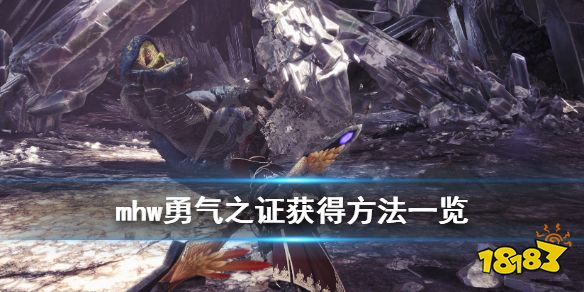 怪物猎人世界勇气之证怎么获得勇气之证获得方法 181单机游戏 怪物猎人世界勇气之证怎么获得勇气之证获得方法 181单机游戏