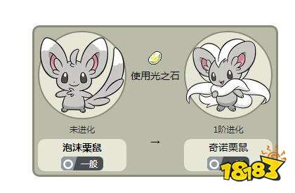 泡沫栗鼠几级进化