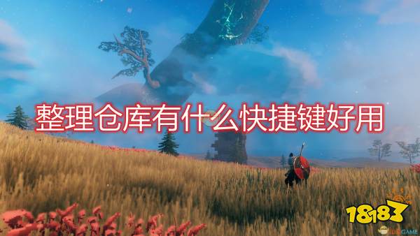 Valheim 英灵神殿 整理仓库好用快捷键一览 181手游门户