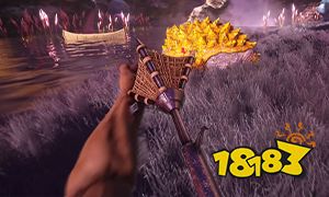 方舟创世纪2捕捉网控制台代码分享