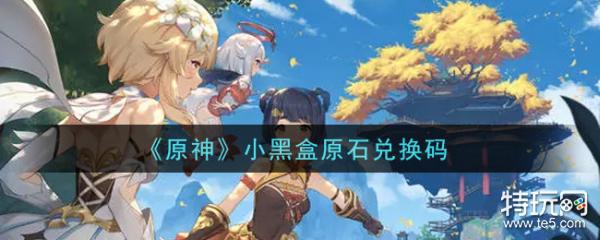原神小黑盒是什么 小黑盒原石兑换码_特玩网