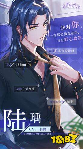 猫之宿约者cv配音阵容一览