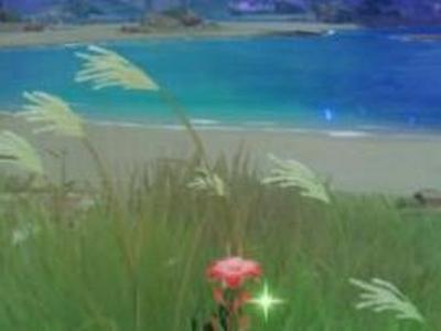 原神稻妻血斛在哪里 稻妻血斛刷新位置一览