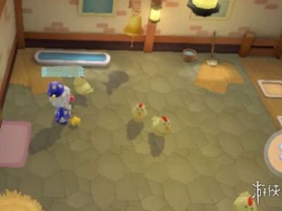 摩尔庄园手游小鸡怎么养 养小鸡心得分享