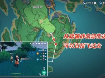 原神鲸井小弟在哪 稻妻鲸井小弟位置一览