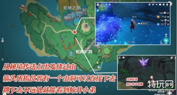 《原神》稻妻鲸井小弟位置分享
