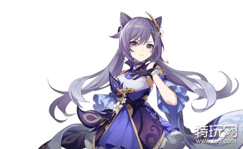 《原神》雷电将军用什么圣遗物