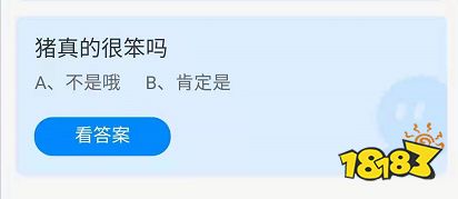 豬真的很笨嗎？8月12日螞蟻莊園小雞寶寶答案解析