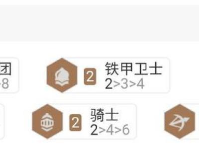 《云顶之弈》11.16版本破败游侠VN怎么玩