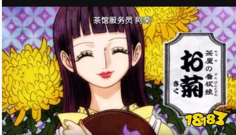 航海王燃烧意志ssr阿菊技能怎么加点ssr阿菊最强技能加点推荐