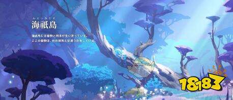 原神海祇岛悬浮石块解密方法攻略